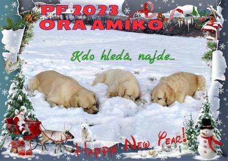PF 2023 Ora Amiko