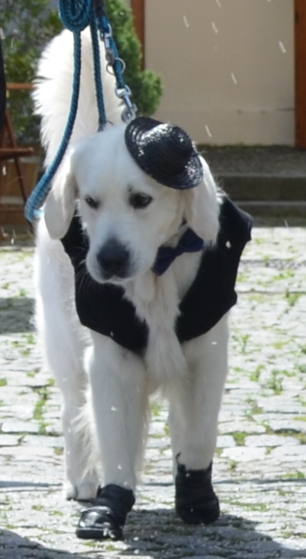 Svatba 2014 002